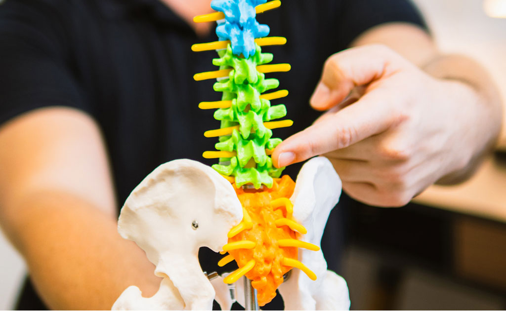 Chiropractic Care Cheltenham